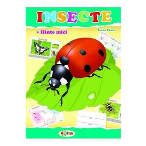Insecte (mapa) - Inesa Tautu imagine