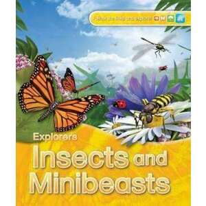 Explorers: Insects and Minibeasts imagine