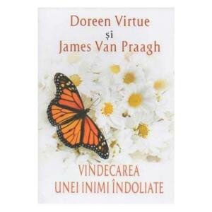 Vindecarea unei inimi indoliate - Doreen Virtue, James Van Praagh imagine