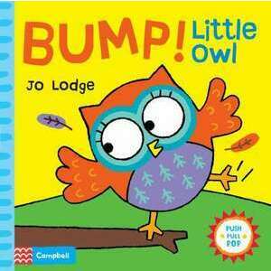 Bump! Little Owl imagine