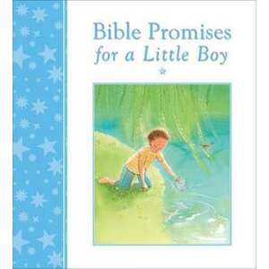 Bible Promises for a Little Boy imagine