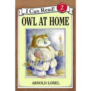 Owl at Home imagine