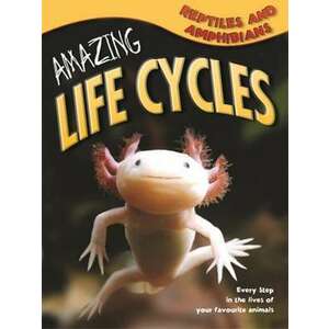 Amazing Life Cycles: Reptiles and Amphibians imagine