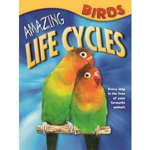 Amazing Life Cycles: Birds imagine