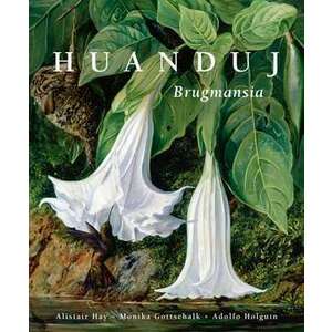 Huanduj: Brugmansia imagine