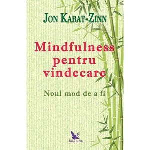 Mindfulness pentru vindecare - Jon Kabat-Zinn imagine
