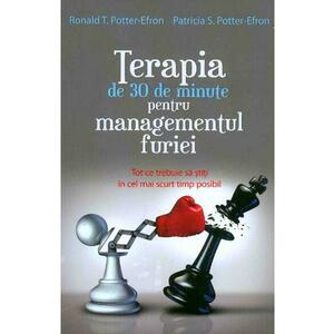 Terapia de 30 de minute pentru managementul furiei - Ronald T. Potter-Efron, Patricia S. Potter-Efron imagine