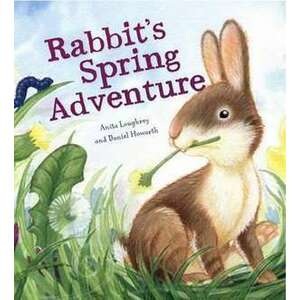 Rabbit's Spring Adventure imagine