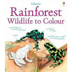 Rainforest Wildlife to Colour imagine