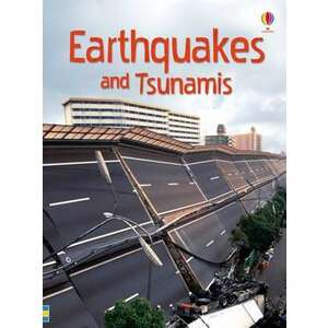 Earthquakes & Tsunamis imagine