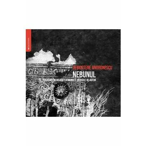 Audiobook Nebunul - Demostene Andronescu imagine