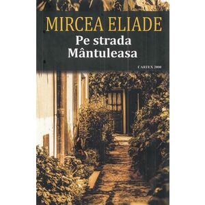 Pe strada Mantuleasa-Mircea Eliade imagine