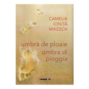 Umbra de ploaie / Ombra di pioggia - Camelia Ionita Mikesch imagine