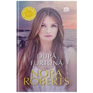 Dupa furtuna - Nora Roberts imagine