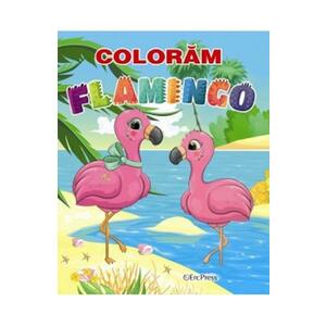 Coloram flamingo imagine