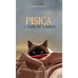 Pisica lui Dalai Lama. Seninatatea si intelepciunea lui Dalai Lama - David Michie imagine