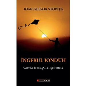 Ingerul Ionduh - Ioan Gligor Stopita imagine