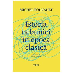 Istoria nebuniei in epoca clasica - Michel Foucault imagine