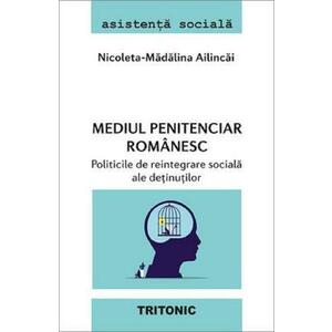 Mediul penitenciar romanesc. Politicile de reintegrare sociala ale detinutilor - Nicoleta-Madalina Ailincai imagine
