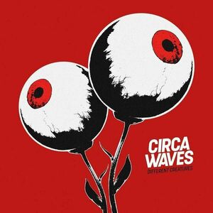 Different Creatures | Circa Waves imagine