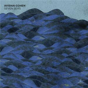Seven Seas | Avishai Cohen imagine