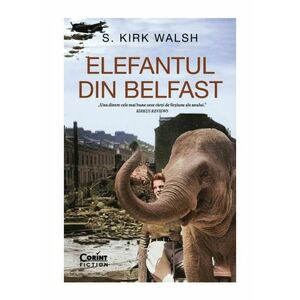 Elefantul din Belfast imagine