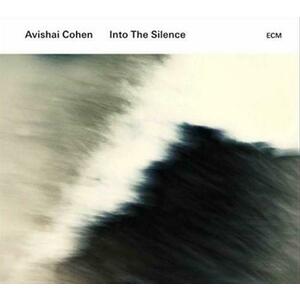 Into The Silence | Avishai Cohen imagine
