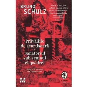 Bruno Schulz imagine