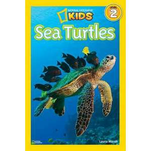 Sea Turtles imagine