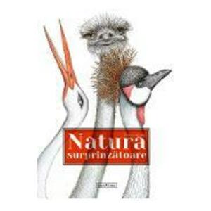 Natura surprinzatoare - Florence Guiraud imagine