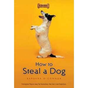 How to Steal a Dog imagine
