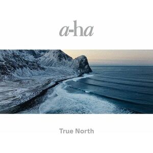 True North - Vinyl | a-ha imagine