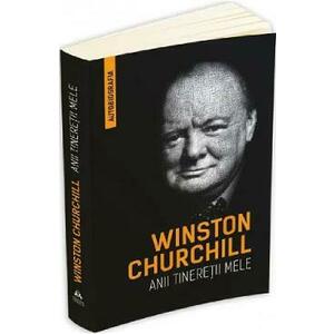Anii tineretii mele | Winston Churchill imagine