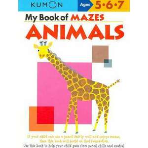 My Book of Mazes imagine