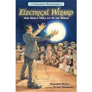Electrical Wizard imagine