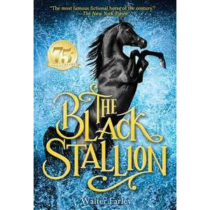 The Black Stallion imagine
