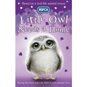 Little Owl Needs A Home imagine