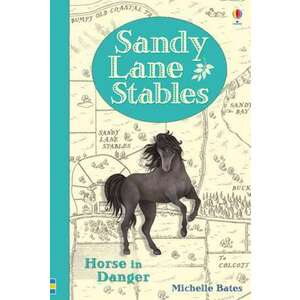 Sandy Lane Stables Horse in Danger imagine