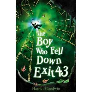 The Boy Who Fell Down Exit 43 imagine