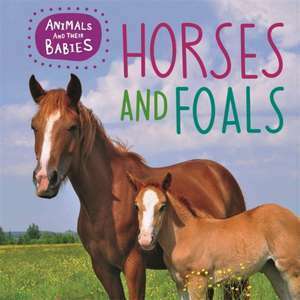 Horses & Foals imagine