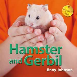 Hamster and Gerbil imagine