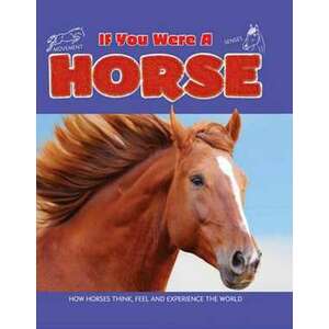 Horse imagine