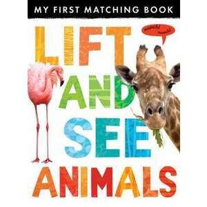 Lift and See: Animals imagine