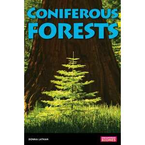 Coniferous Forests imagine