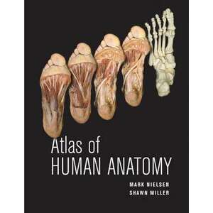 Atlas of Human Anatomy imagine