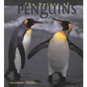 The Nature of Penguins imagine