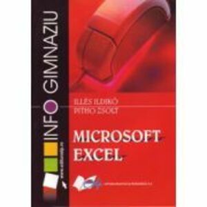 Microsoft Excel - gimnaziu imagine