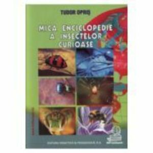Mica enciclopedie a insectelor curioase imagine