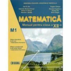 Matematica M1. Manual clasa a 12-a - Ion D. Ion imagine