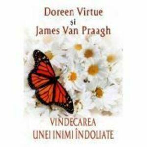 Vindecarea unei inimi indoliate - Doreen Virtue, James van Praagh imagine